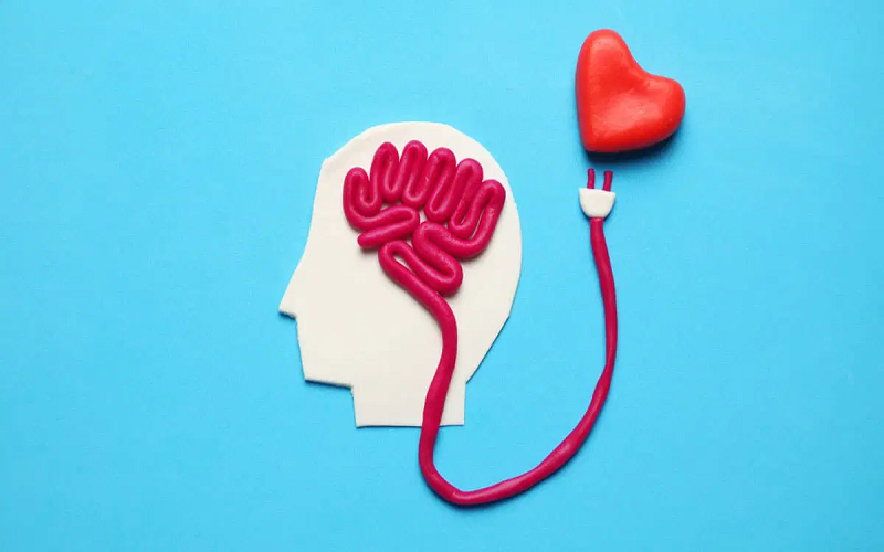 Cardiology And Mental Health: The Heart Mind Connection